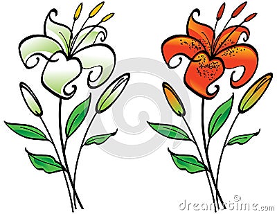White and Tiger Lily