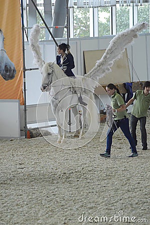 White Wings International Horse Show. Female rider on a white horse. Pegasus.