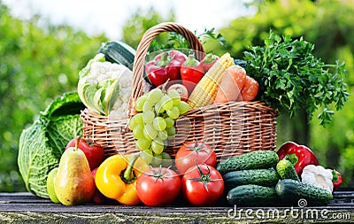 Wicker basket with assorted raw organic vegetables in the garden