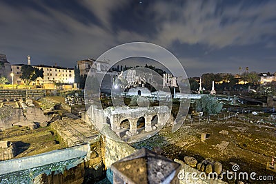 Wide angle photo of the Roman Forum, Rome