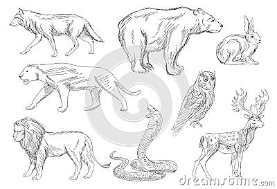 Wild animals set