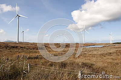 Wild long grass and bogland with wind turbines