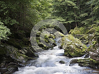 Wild river with mossy stones in forest