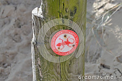 A wildlife not allowed sign on a beach