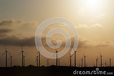 Wind farm during sunset