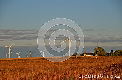 Wind Towers in the Horizon