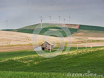 Wind turbines on the hill tops with wheat fields and barn