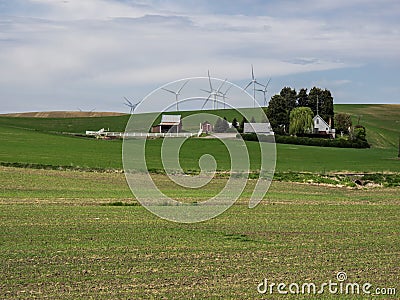 Wind turbines on the hill tops with wheat fields