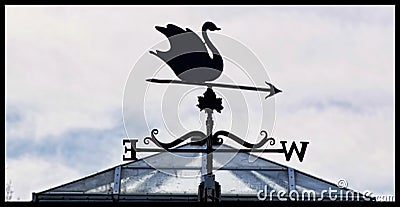 A Wind Vane