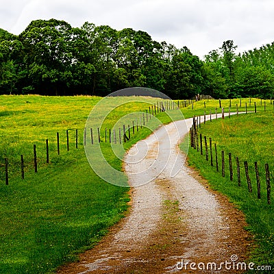 Winding country road