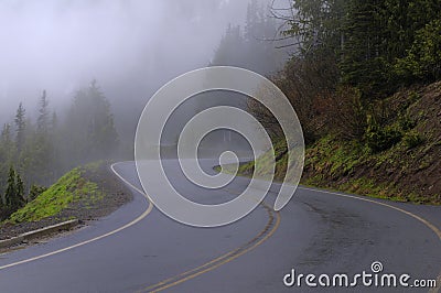 Winding curve road in a foggy forest