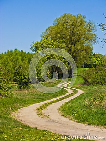 Winding dirt path road with tree