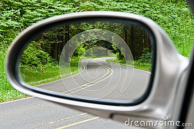 Winding Forest Road in Sideview Mirror