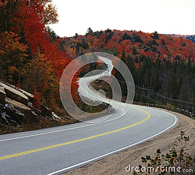 Winding road in fall