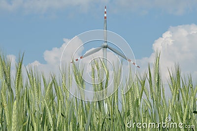 Windmill, production of green energy.