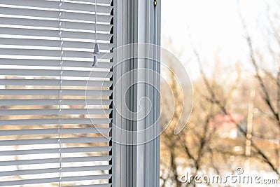 Window blinds