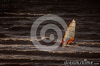 Windsurf