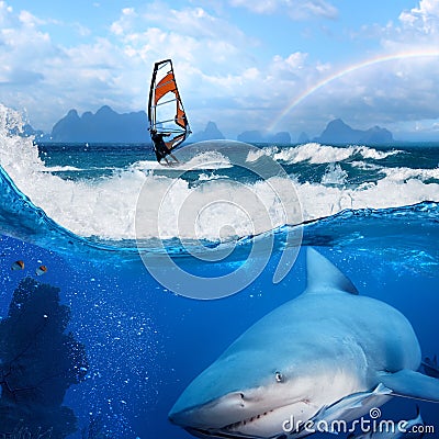 Windsurfer in ocean and wild shark underwater