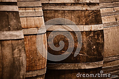 Wine Barrels in Cellar