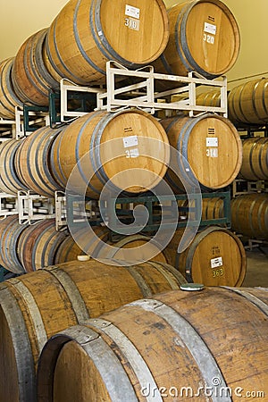 Wine Barrels In Cellar