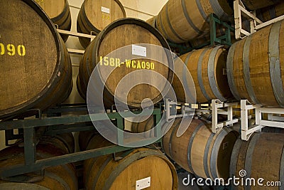 Wine Barrels In Old Cellar
