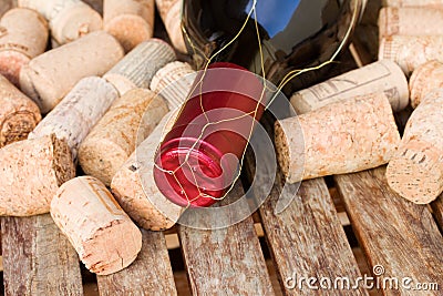 Wine bottle and corks