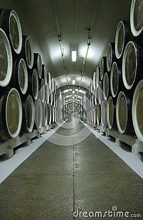 Wine cellar with barrels