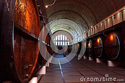 Wine cellar with old wine barrels