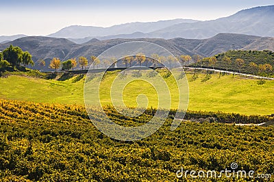 Wine Country, Temecula, Southern California