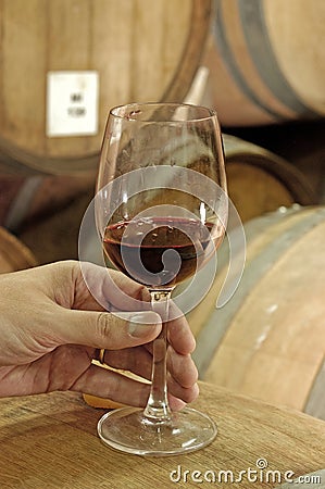 Wine glass and oak barrels