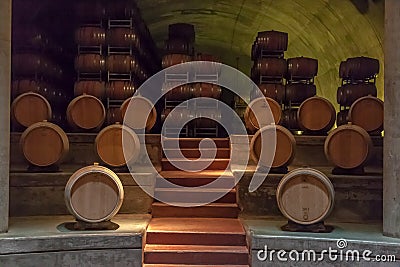 Wine Oak Barrels Mendoza Argentina