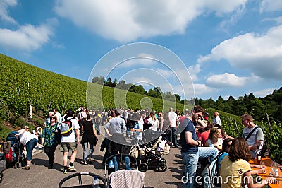 Wine Tour in Obertürkheim near Stuttgart, Germany