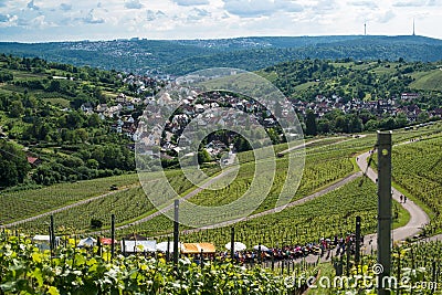 Wine Tour in Uhlbach near Stuttgart, Germany