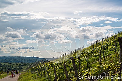 Wine Tour in Uhlbach near Stuttgart, Germany