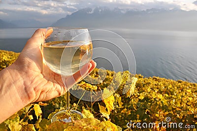 Wineglass in the hand against vineyards in Lavaux region, Switze