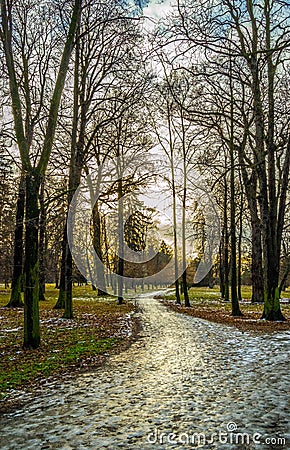 Winter crossroad in park