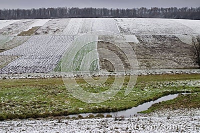 Winter fields