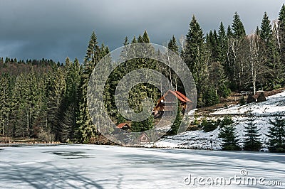 Winter forest in Carpathians