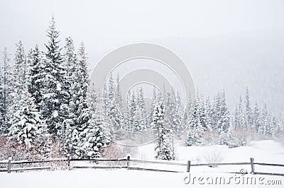 Winter Landscape