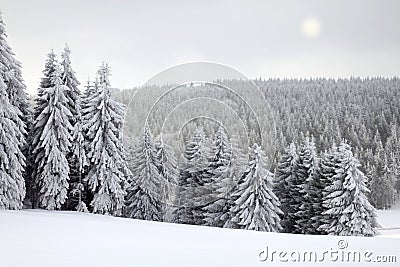 Winter Landscape With Sun