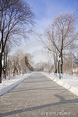 Winter park road