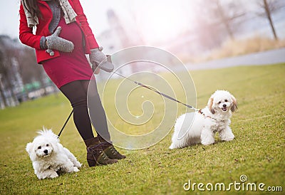 Winter portrait of pregnant woman walking dogs