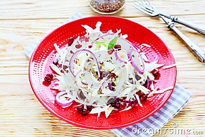 Winter salad with cabbage and pomegranate