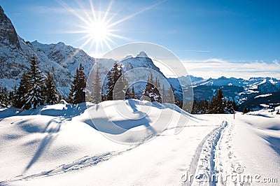 Winter scenery at Grindelwald