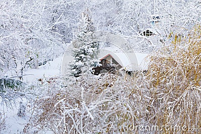 Winter scenery. Wooden house trees covered with snow. Christmas.