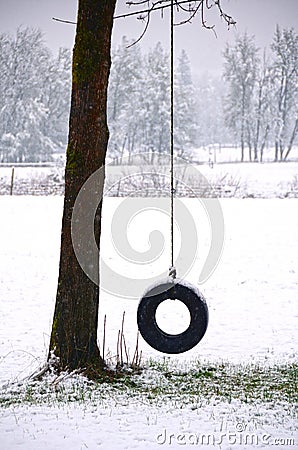 Winter Tire Swing