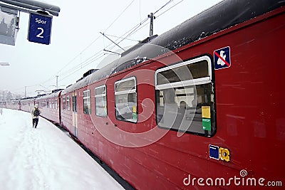 Winter Train Station