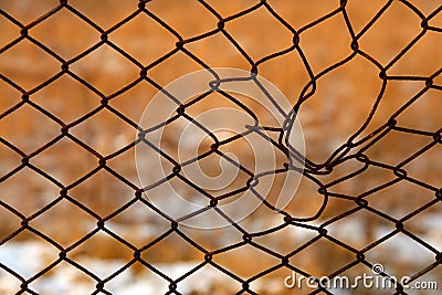 Wire netting