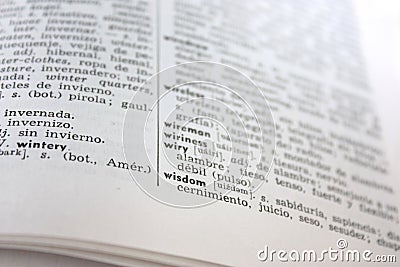 wisdom word in English-Spanish dictionary