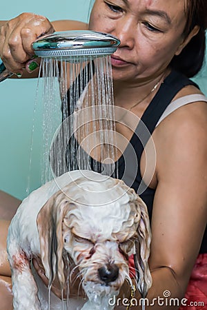 Woman bathing puddle